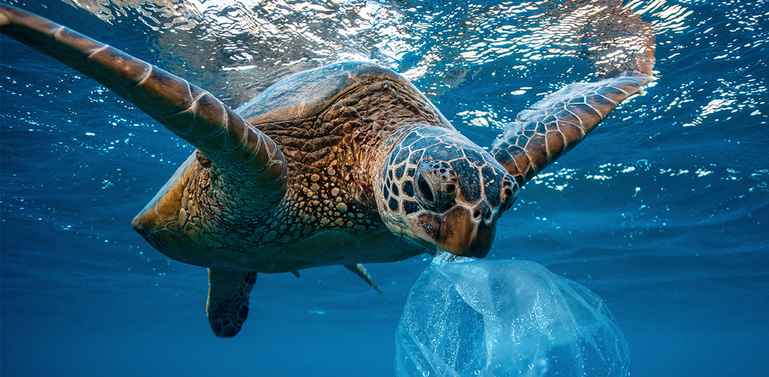 9 Ways to Reduce Plastic Consumption