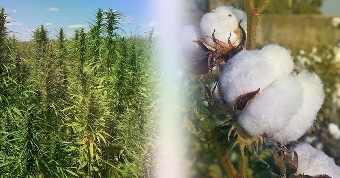 Hemp & Cotton: What's the difference?